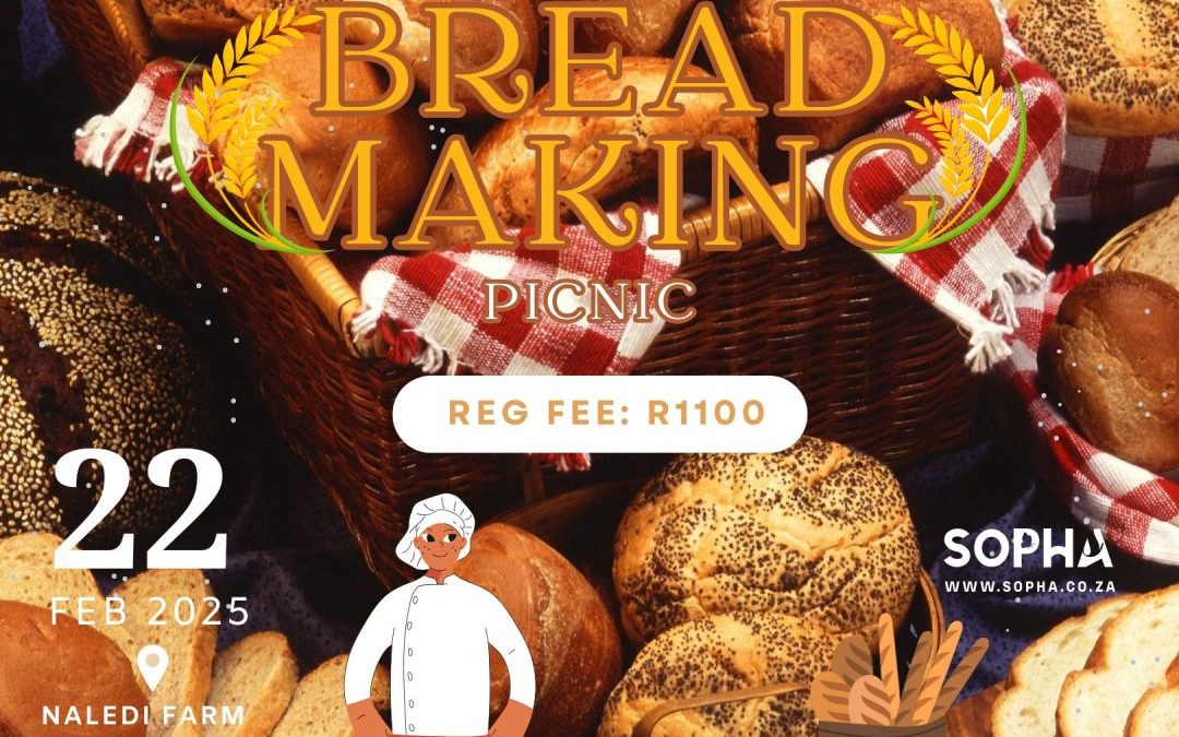 Bread making picnic for adults